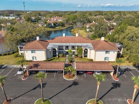 10336 CARROLLWOOD LANE 106 TAMPA FL 33618