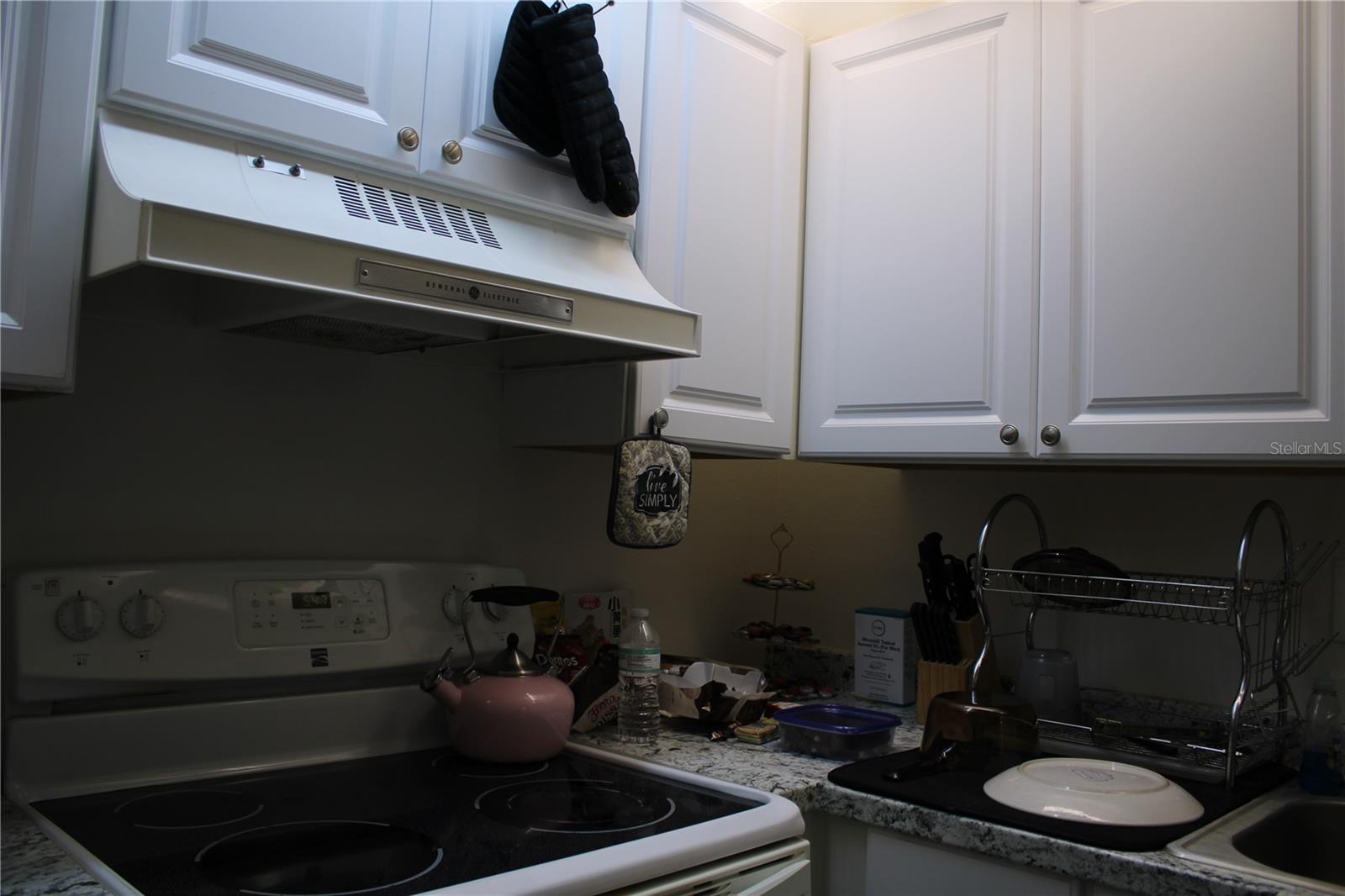 CHATEAU BELLEAIR CONDO - Residential