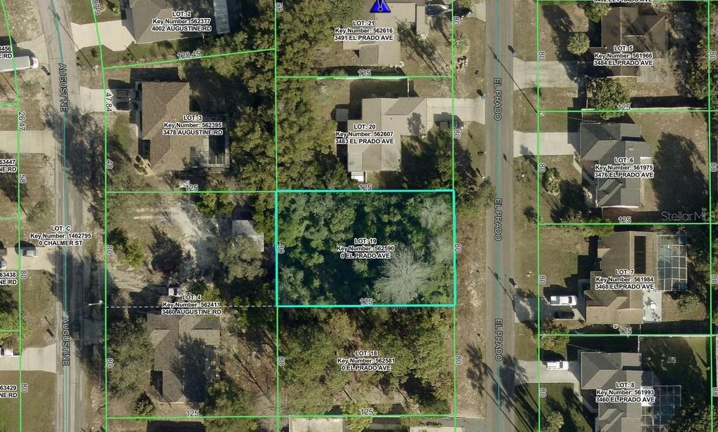 Photo of 3475 El Prado Avenue, Spring Hill, FL 34609 (MLS # OM727465)