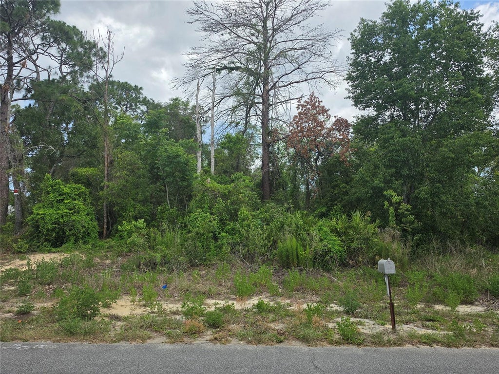Photo of 3475 El Prado Avenue, Spring Hill, FL 34609 (MLS # OM727465)