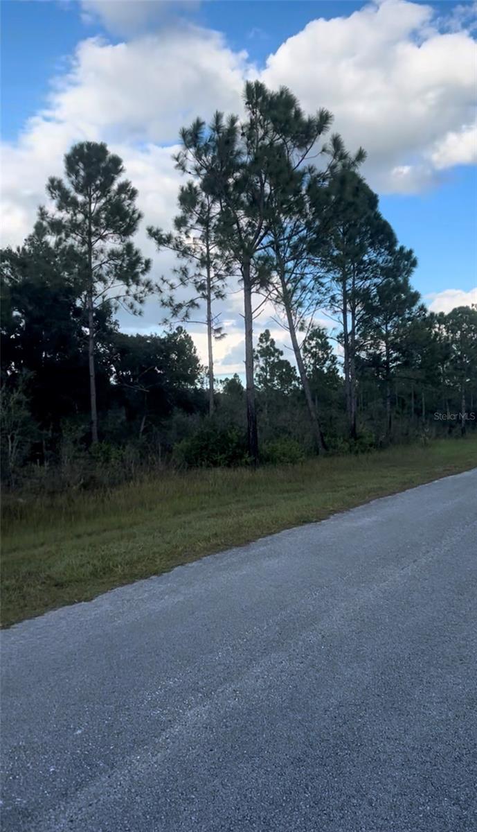 INDIAN LAKE ESTATES - Land