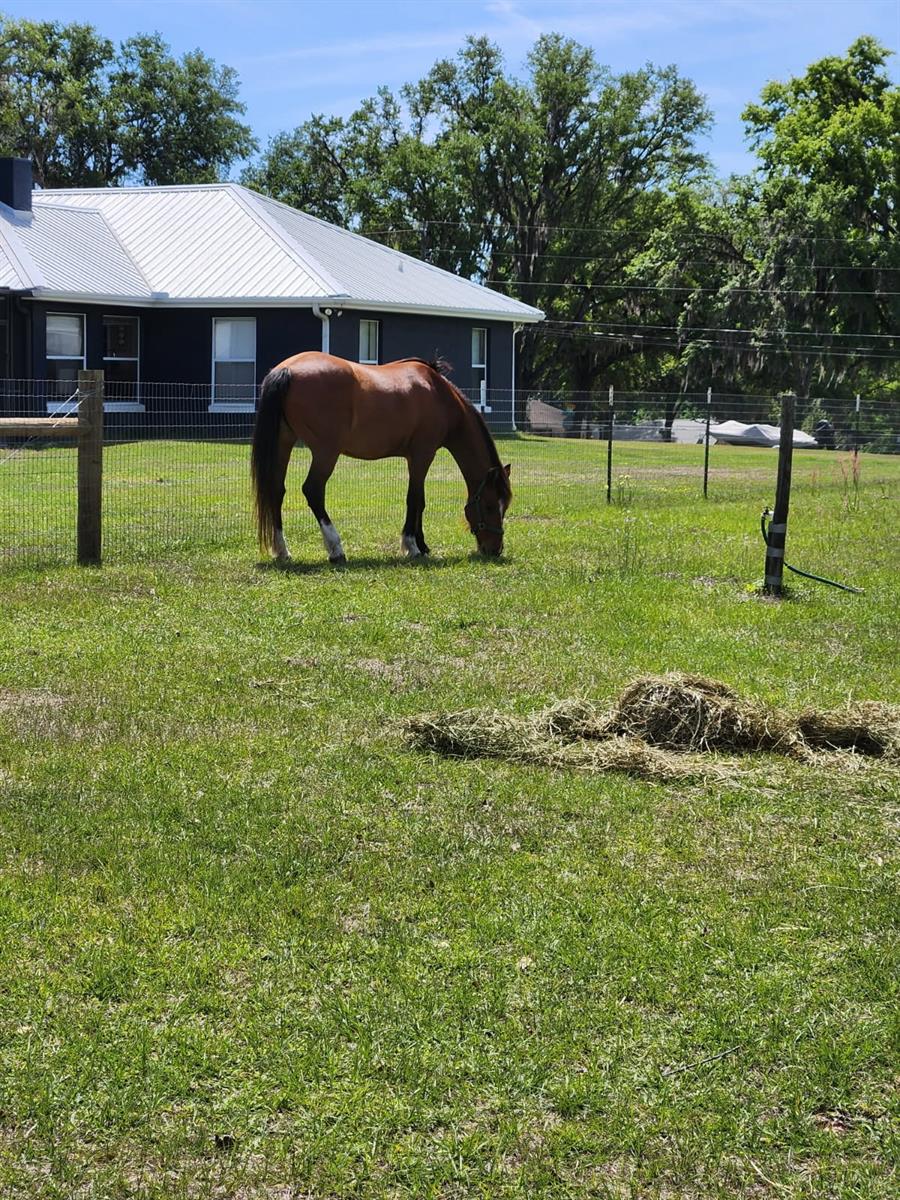 NON-SUB - Residential