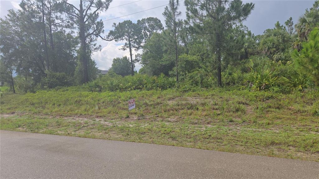 Photo of 733 Palmer Street E, Lehigh Acres, FL 33974 (MLS # S5130822)