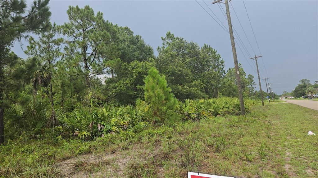 Photo of 733 Palmer Street E, Lehigh Acres, FL 33974 (MLS # S5130822)