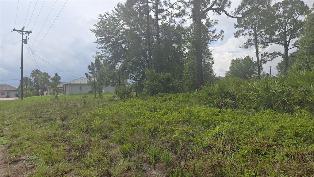 Photo of 733 Palmer Street E, Lehigh Acres, FL 33974 (MLS # S5130822)