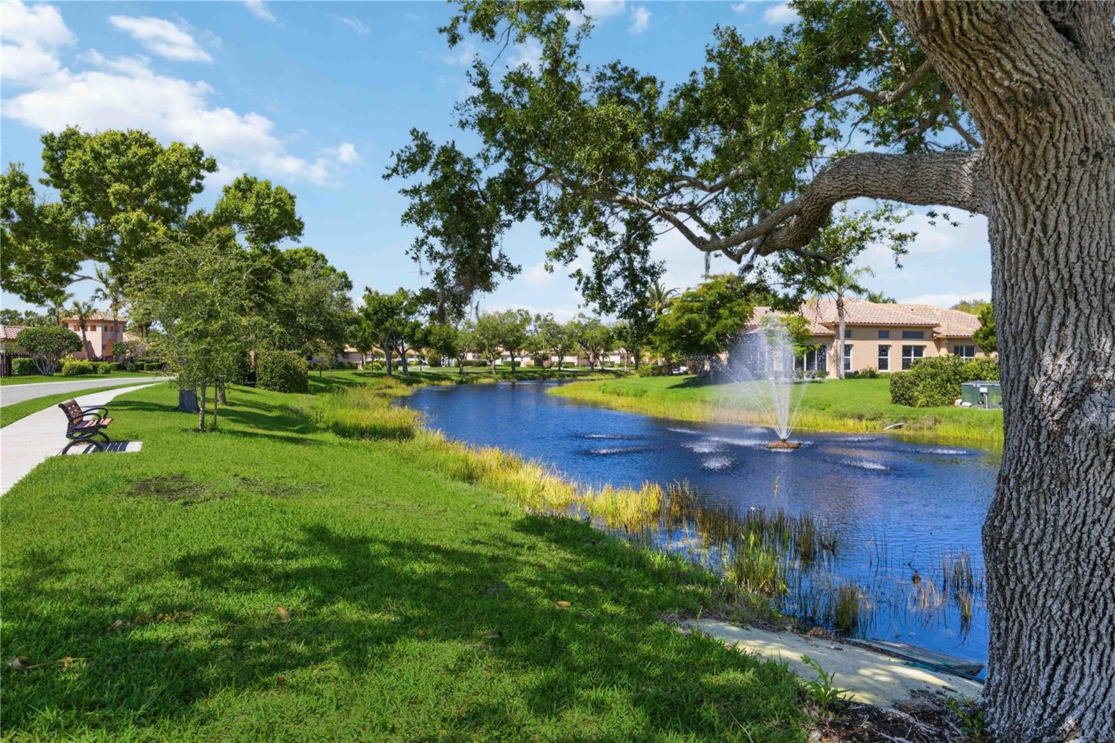 MIRA LAGO AT PALMER RANCH PH 1 - Residential