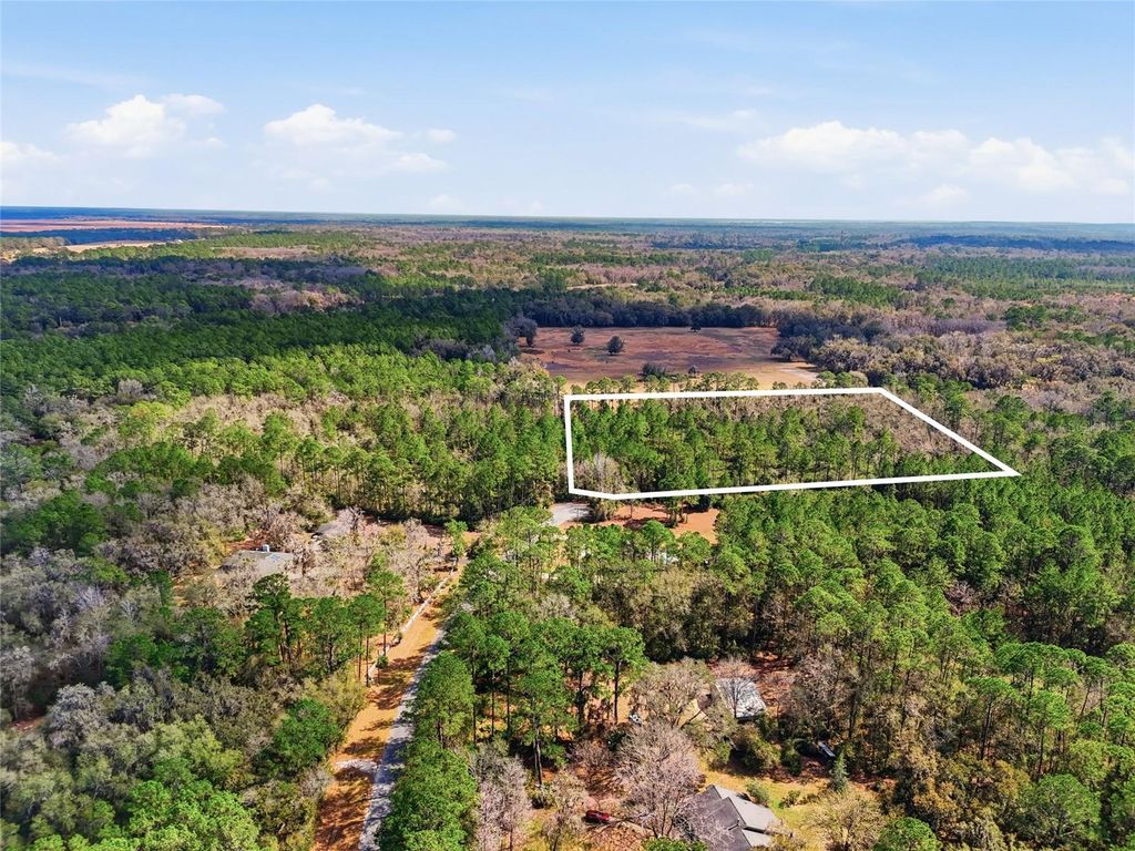 Photo of 1321 SW 119th Place, Micanopy, FL 32667 (MLS # GC537711)