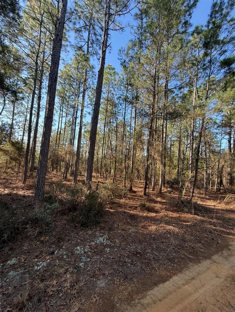 COLLEGE PARK ESTATES - Land