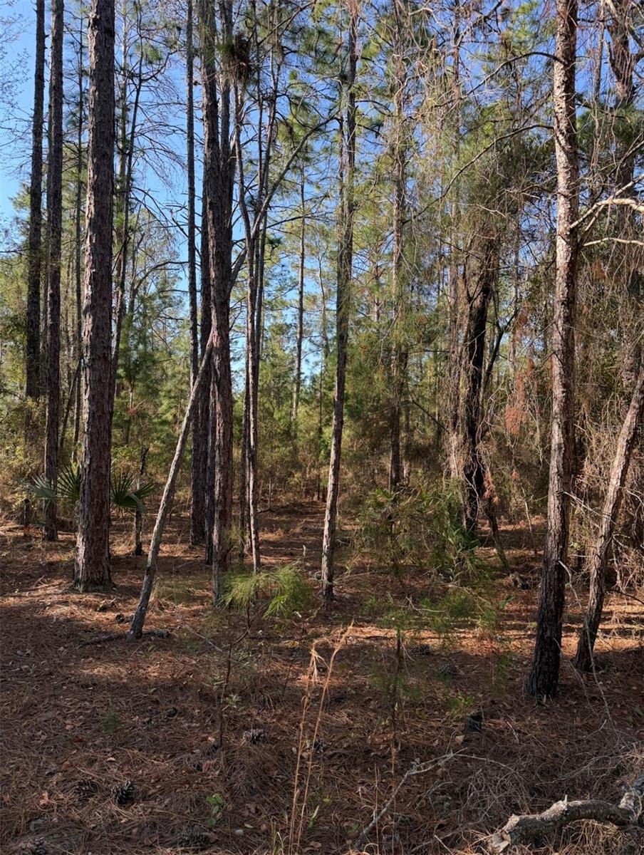 COLLEGE PARK ESTATES - Land