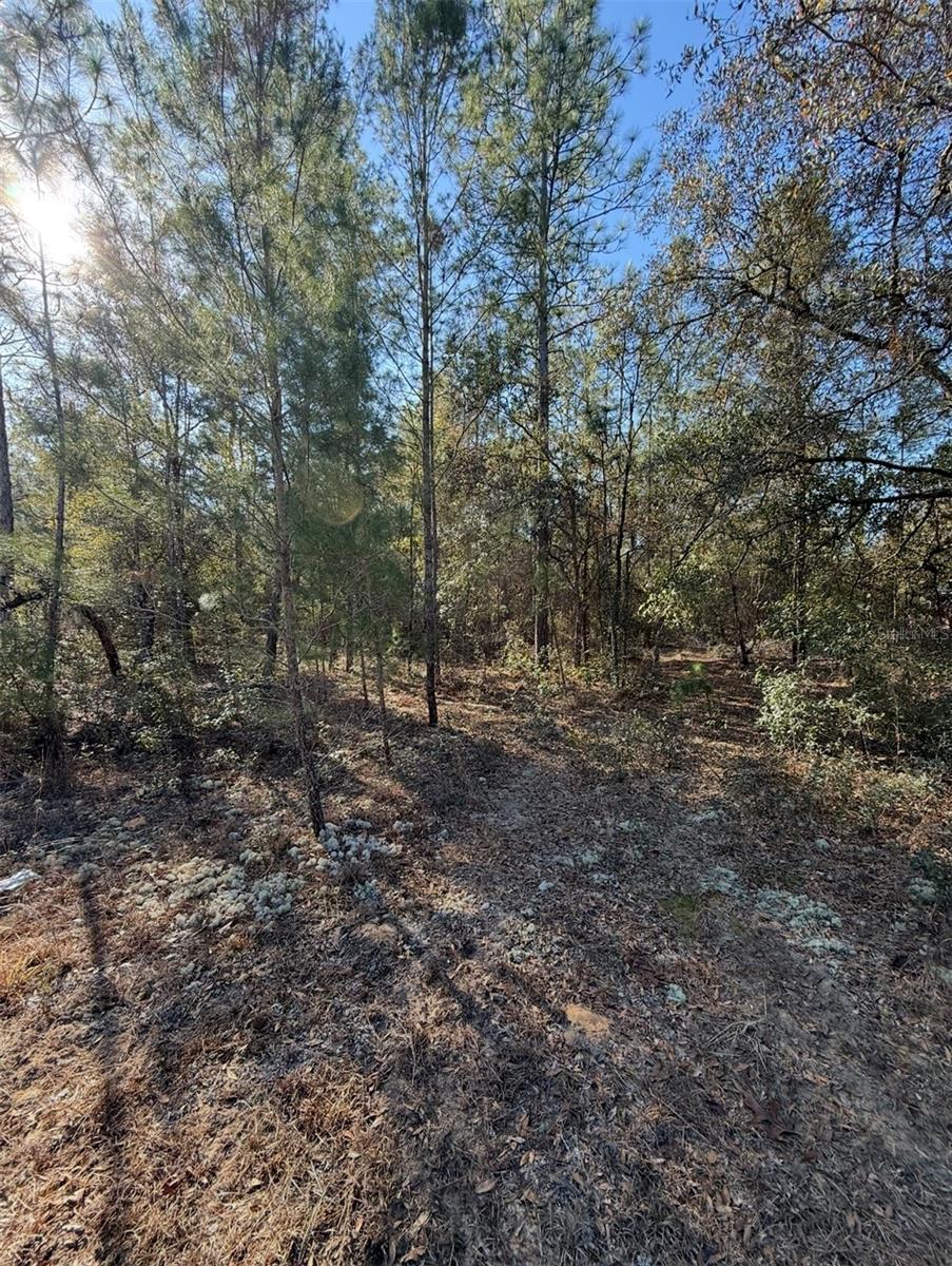 COLLEGE PARK ESTATES - Land