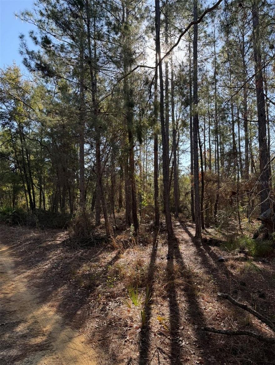 Discover the potential of this wooded parcel located in the established community of College Park Estates. This unique offering includes 4 lots, providing added flexibility for future plans, whether you’re considering building a custom home, placing a mobile or manufactured home, or holding as an investment.
Surrounded by natural beauty, the property offers a peaceful, private setting while still being conveniently located near local amenities, shopping, and major roadways. The mature trees create a serene environment and a blank canvas ready for your vision.
Buyer is responsible for obtaining a survey and conducting all due diligence, including verifying property boundaries, measurements, zoning, and intended use.
Don’t miss this opportunity to own a versatile piece of land with plenty of potential in a growing area.