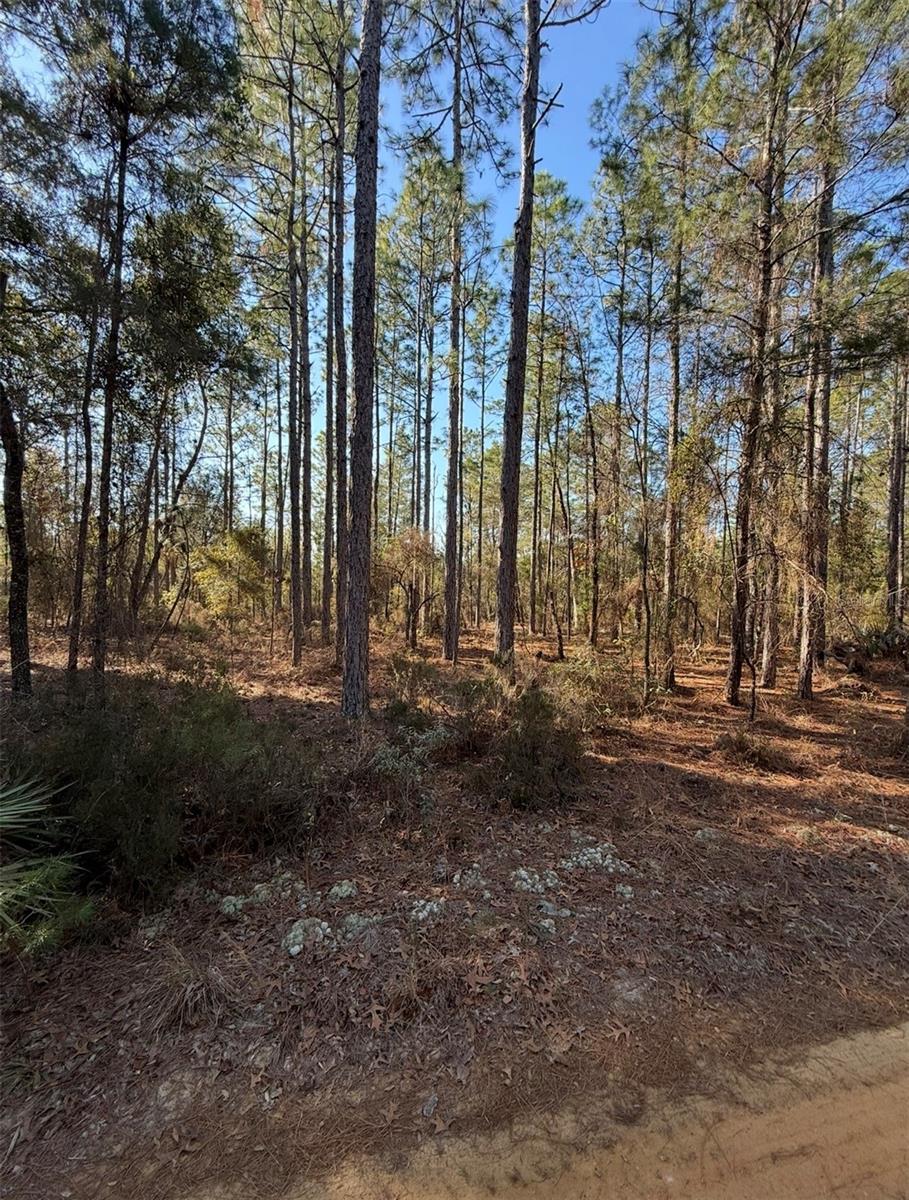 COLLEGE PARK ESTATES - Land