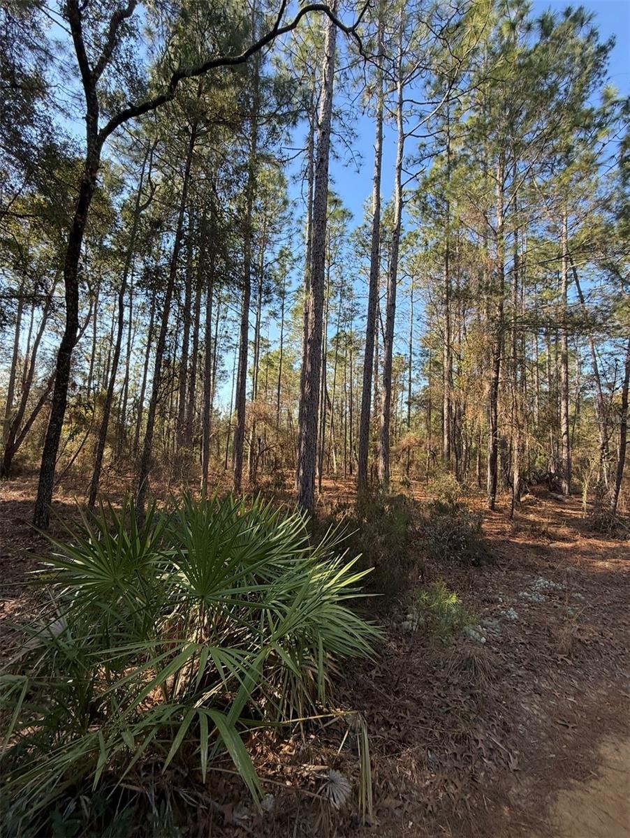 COLLEGE PARK ESTATES - Land