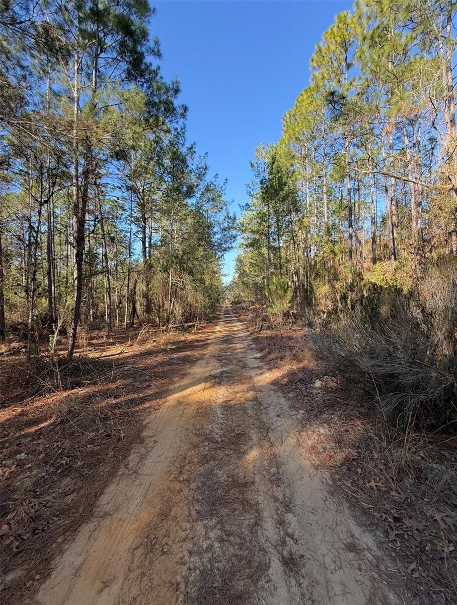 COLLEGE PARK ESTATES - Land