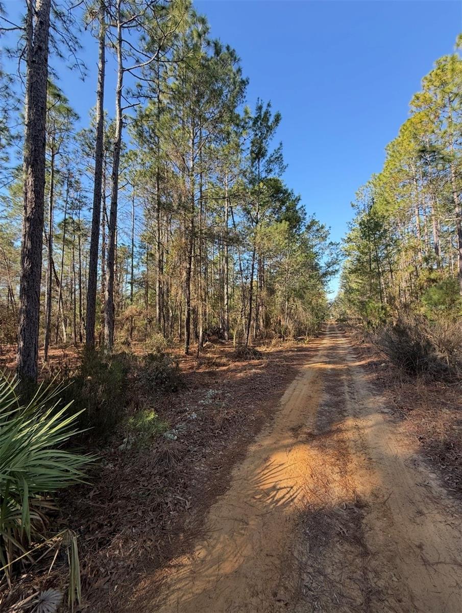 COLLEGE PARK ESTATES - Land