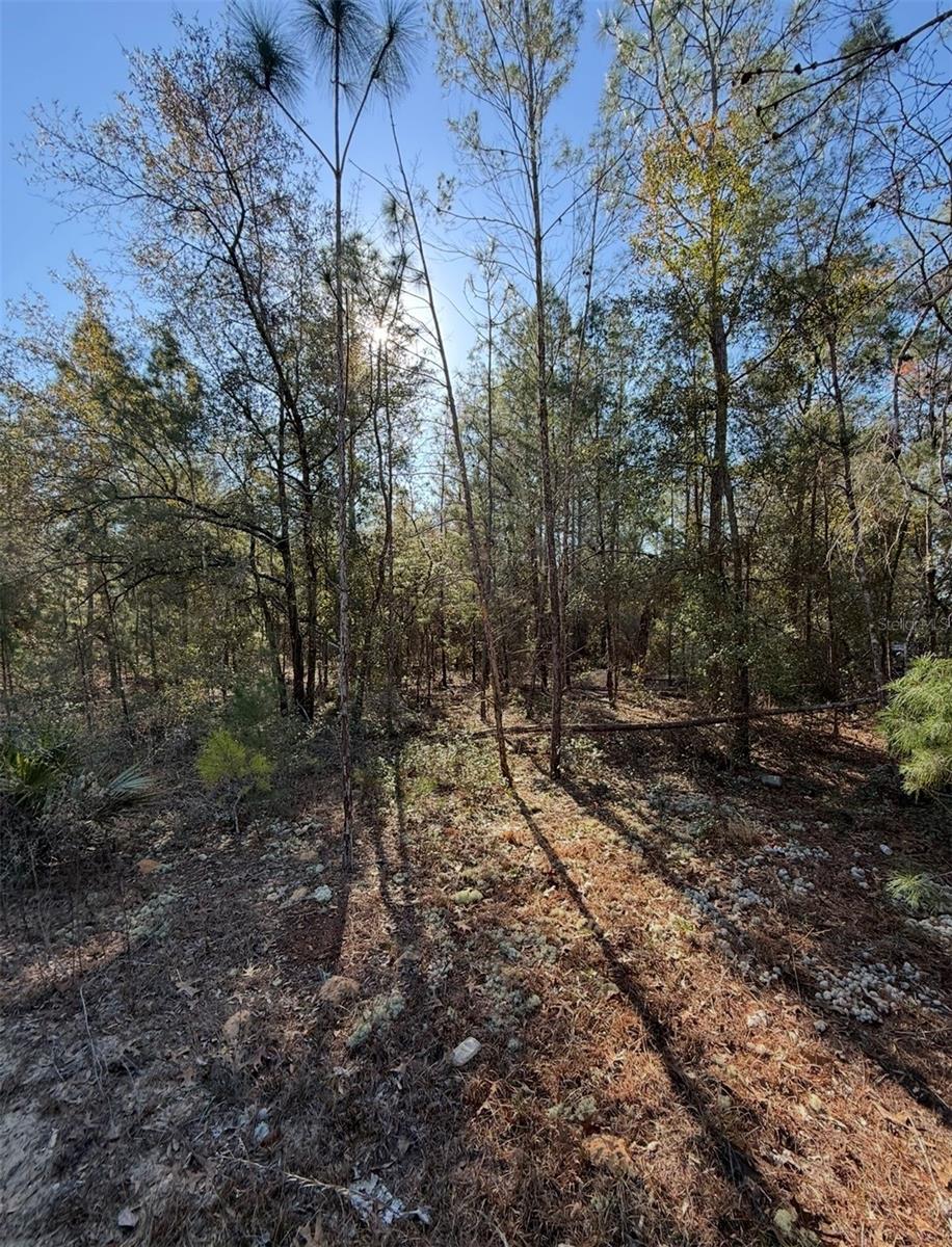 COLLEGE PARK ESTATES - Land