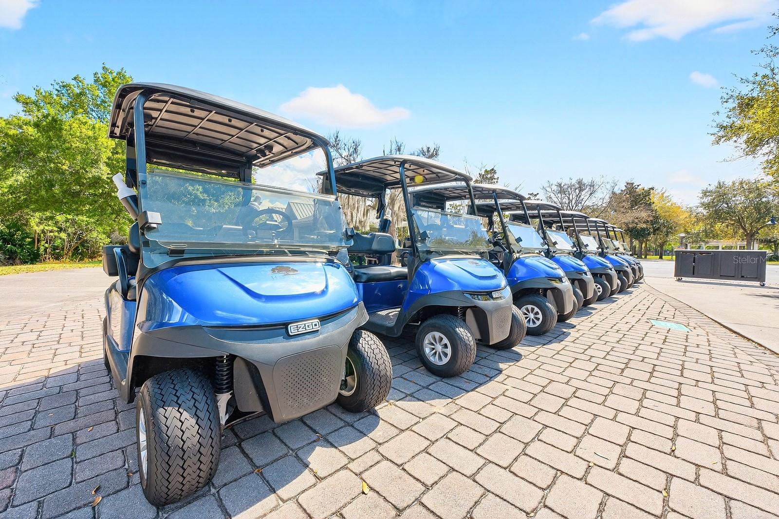 NORTH LAKES OF HARMONY - Residential