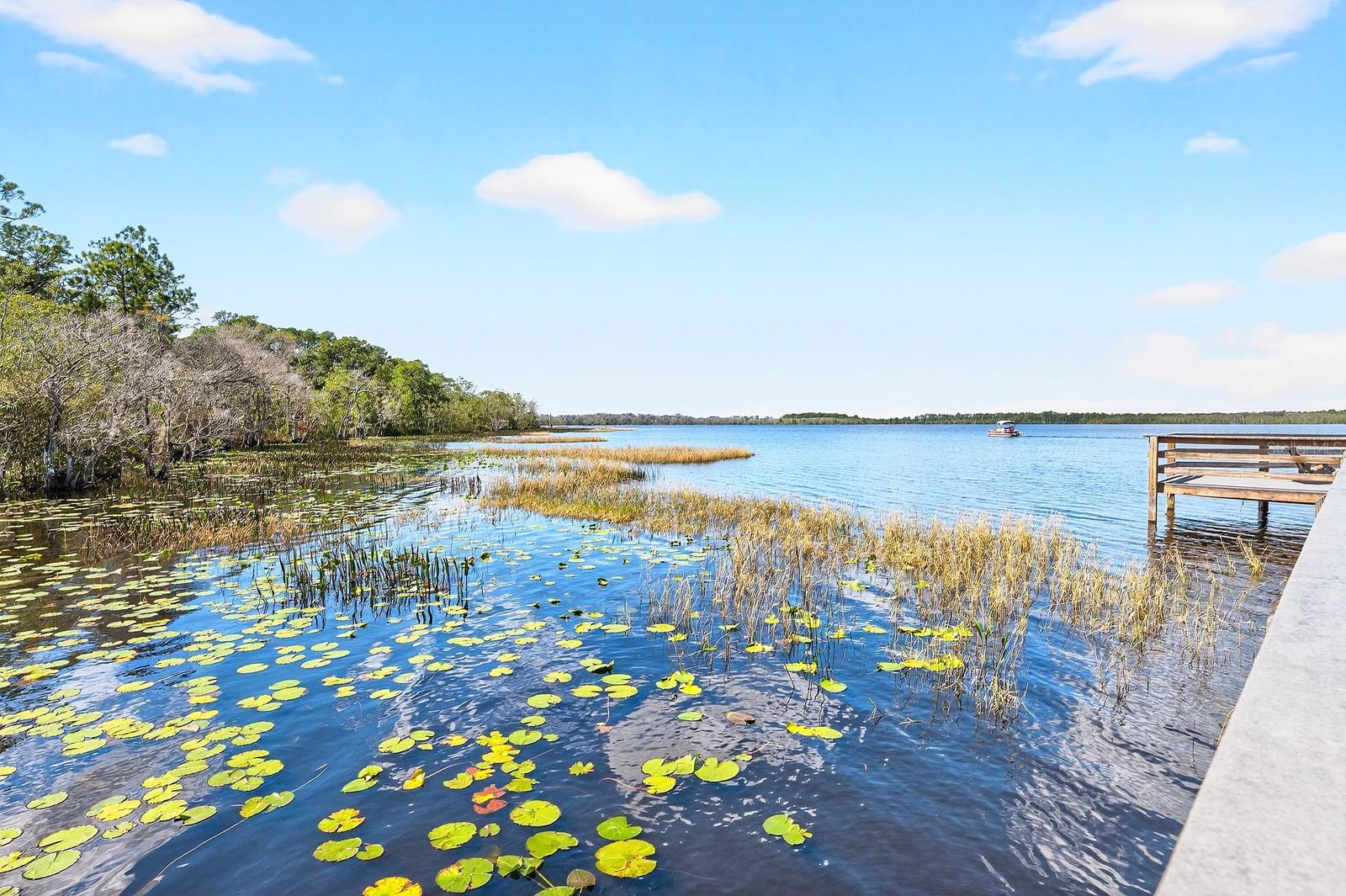 NORTH LAKES OF HARMONY - Residential