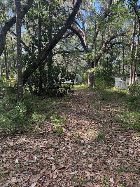 Tiny photo for 5612 E Highway 316, Citra, FL 32113 (MLS # O6438100)