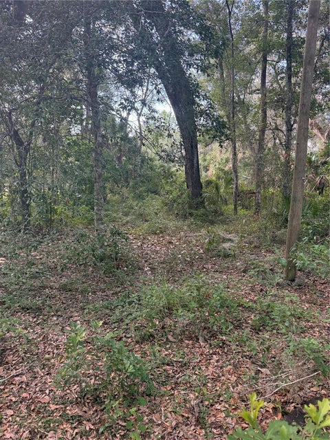 Tiny photo for 5612 E Highway 316, Citra, FL 32113 (MLS # O6438100)