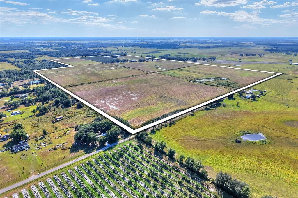 Photo of 6018 NW County Road 661a, Arcadia, FL 34266 (MLS # TB8450217)