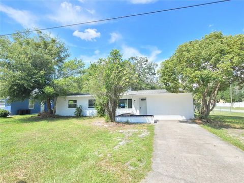 Photo of 8 Flamevine Lane, Debary, FL 32713 (MLS # O6417854)