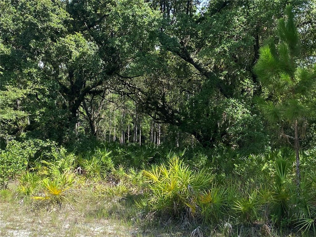 Photo of 0 Oleander Drive, Indian Lake Estates, FL 33855 (MLS # P4931519)