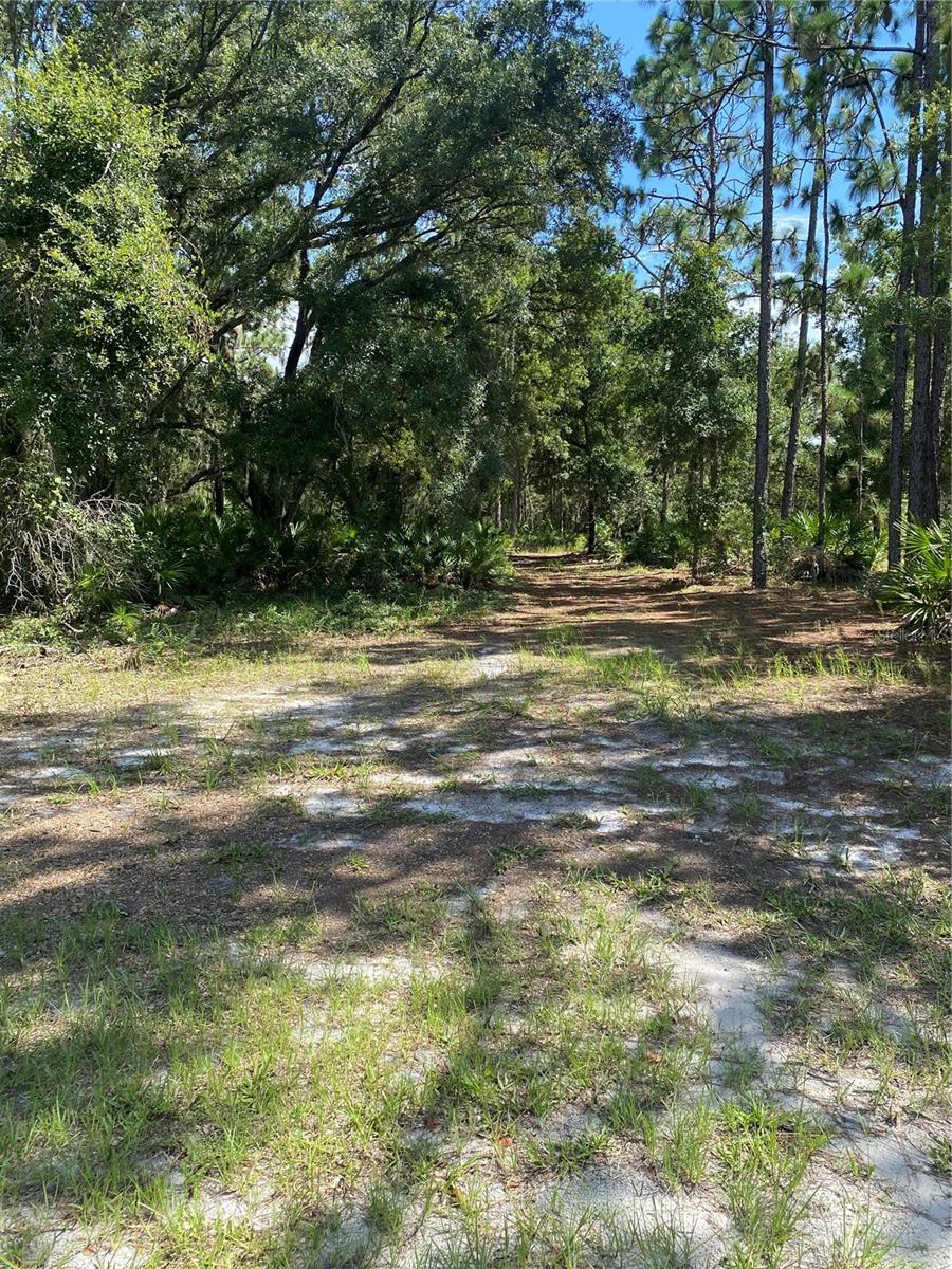 Come check out this rare opportunity to purchase a half-acre lot in a nature setting at a great price to build your dream home on. This lot is located in the community of Indian Lake Estates. This area is teaming with wildlife. There are deer, turkey, cranes and a variety of bird species which can be seen in the area. This community is within an hour's drive to Disney, Tampa, and the Gulf. The 7,500-acre lake is known for being one of the best Bass fishing lakes in Florida. There is an impressive list of amenities the community has to offer such as a very long fishing pier with a pavilion with propane grills and picnic tables. Other amenities include tennis courts, basketball courts, pickleball courts, racquetball courts, playground, a cafe, fitness room, library, and post office. The community also boasts an 18-hole golf course with a 23,000 square' clubhouse and a pro-shop.