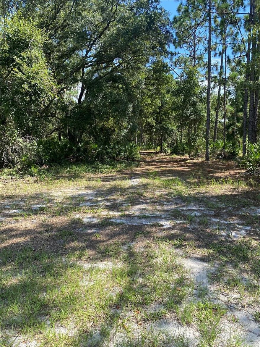 Come check out this rare opportunity to purchase a half-acre lot in a nature setting at a great price to build your dream home on.  This lot is located in the community of Indian Lake Estates.  This area is teaming with wildlife.  There are deer, turkey, cranes and a variety of bird species which can be seen in the area.  This community is within an hour's drive to Disney, Tampa, and the Gulf.  The 7,500-acre lake is known for being one of the best Bass fishing lakes in Florida.  There is an impressive list of amenities the community has to offer such as a very long fishing pier with a pavilion with propane grills and picnic tables.  Other amenities include tennis courts, basketball courts, pickleball courts, racquetball courts, playground, a cafe, fitness room, library, and post office. The community also boasts an 18-hole golf course with a 23,000 square' clubhouse and a pro-shop.