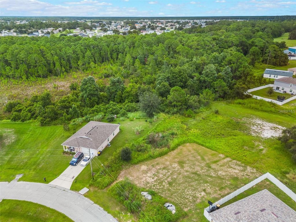 Photo of 2135 Rio Grande Canyon Loop, Kissimmee, FL 34759 (MLS # S5143735)