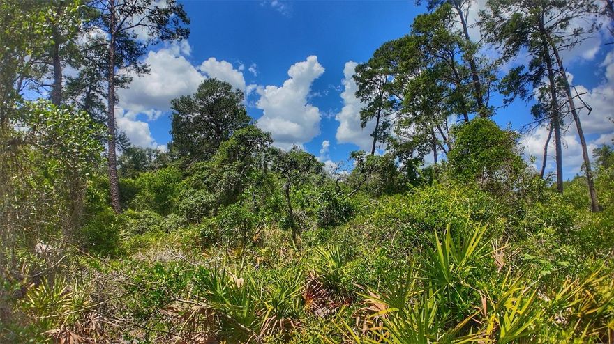 Opportunity to own two lots being sold together as one parcel in the desirable Moon Lake Estates community. This 70×110 property sits in Flood Zone X for added peace of mind and is located less than a mile from Moon Lake Park and public boat launch, offering easy access to fishing, boating, and outdoor recreation.

Enjoy the freedom of a no HOA, no CDD neighborhood with endless possibilities to build, invest, or hold for the future. Whether you’re planning a custom home or looking for a smart land investment, this property delivers location, flexibility, and value.