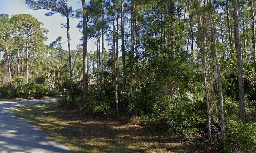Build your dream home on this 16,500 Sq Ft oversized corner lot in beautiful Palm Coast, Florida! Located at 22 Reynolds Place, this spacious property provides plenty of room for your ideal home design, pool, and outdoor living space. Nestled in a quiet, established neighborhood with easy access to shopping, dining, schools, and 10 miles to the beaches, this lot combines convenience with a peaceful residential setting. This is a no-thru traffic road (Reynolds dead ends to N). Don’t miss this opportunity to own one of the larger corner lots in the area — a perfect setting for your next home or investment property. Owning entity owned by Broker.