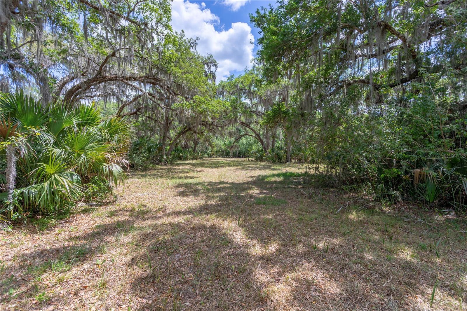OSCEOLA BLUFF SOUTH 5 ACRE DEV 86 PARCELS - Residential