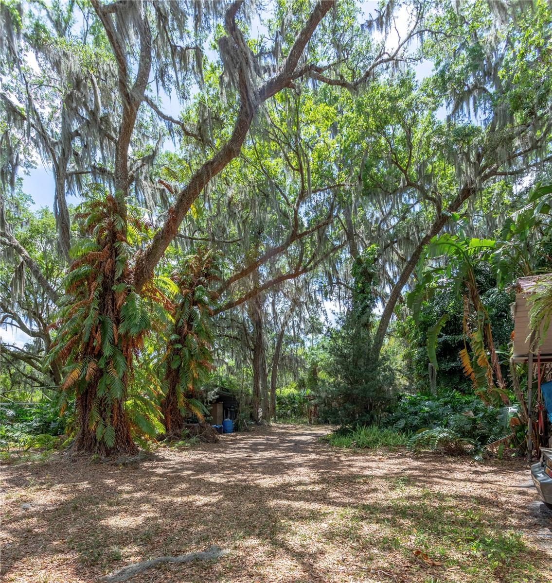 OSCEOLA BLUFF SOUTH 5 ACRE DEV 86 PARCELS - Residential