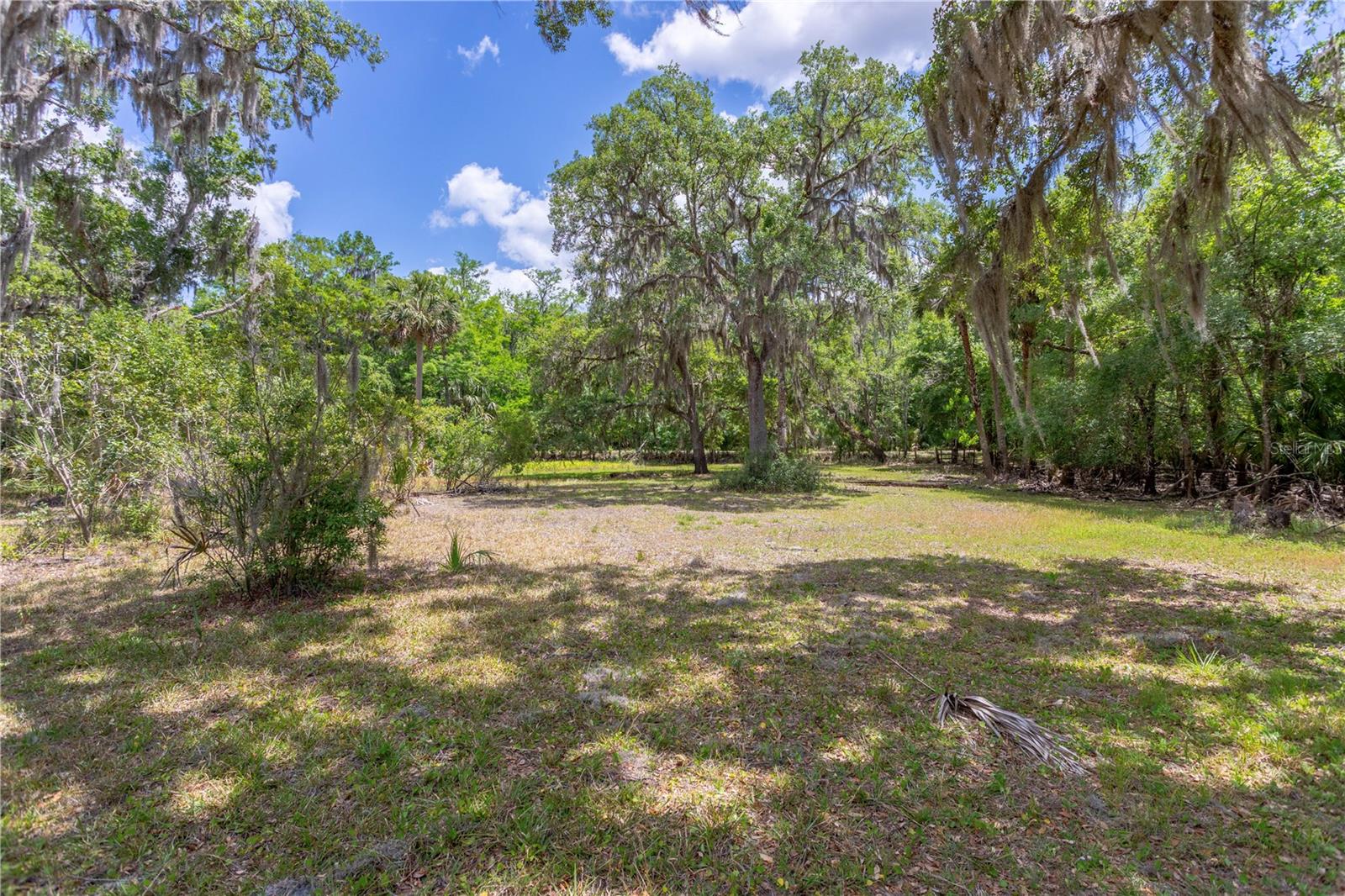 OSCEOLA BLUFF SOUTH 5 ACRE DEV 86 PARCELS - Residential