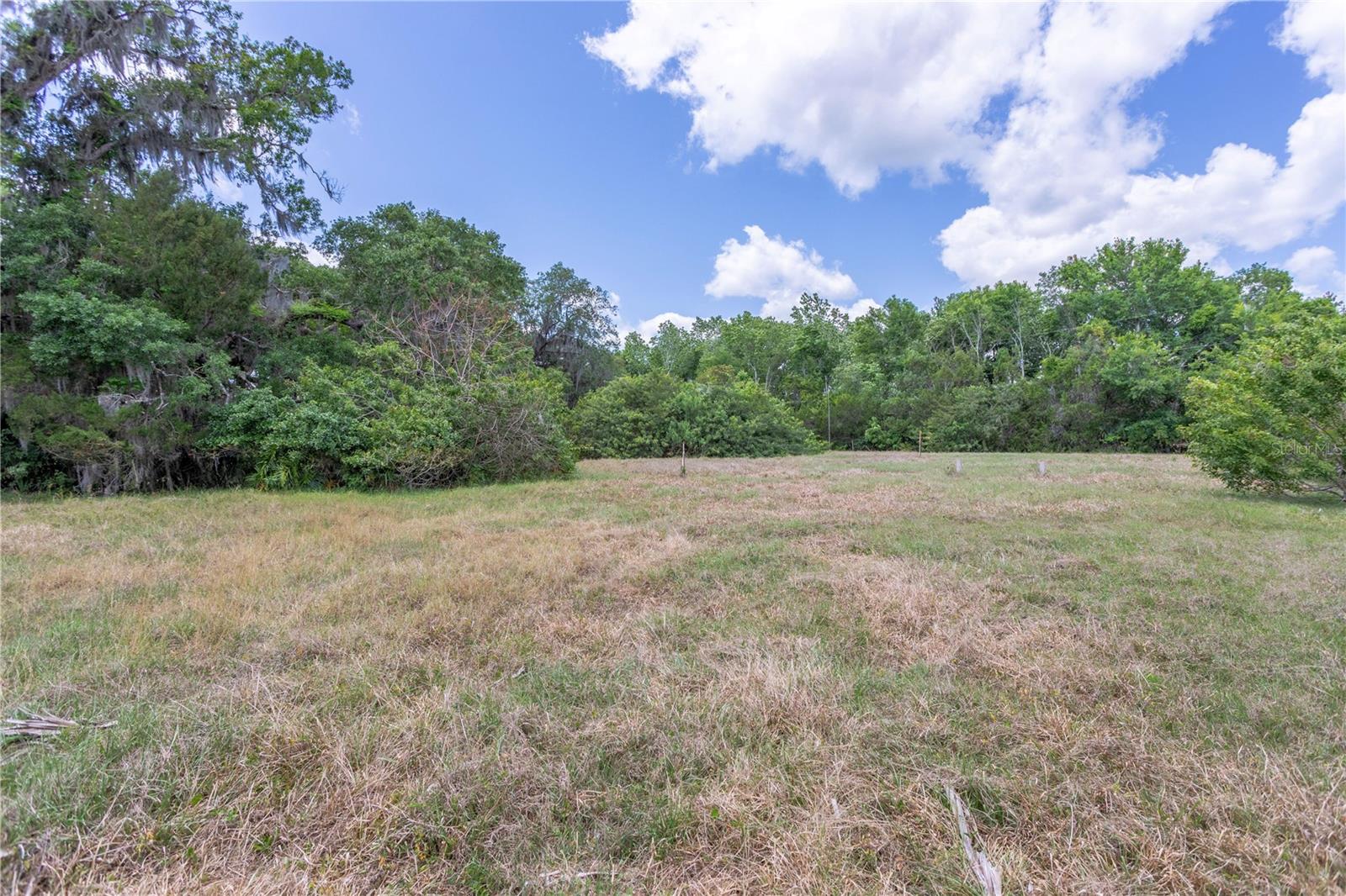 OSCEOLA BLUFF SOUTH 5 ACRE DEV 86 PARCELS - Residential