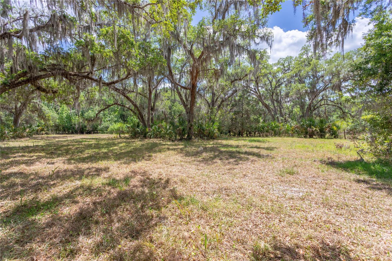 OSCEOLA BLUFF SOUTH 5 ACRE DEV 86 PARCELS - Residential