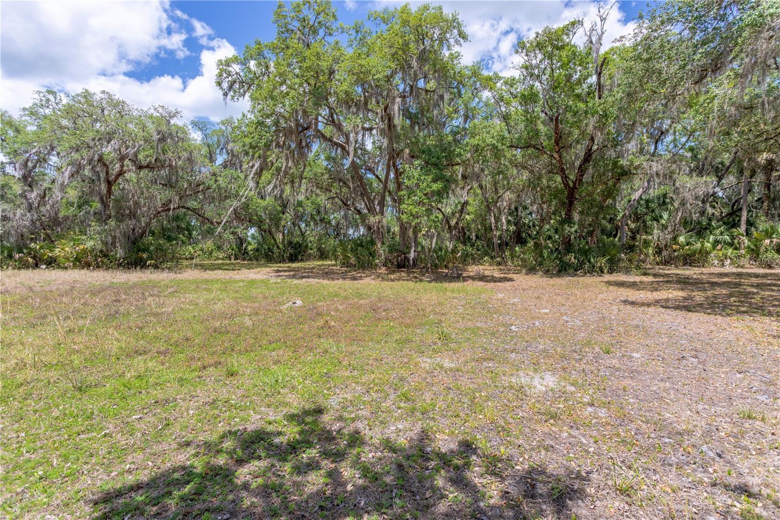 OSCEOLA BLUFF SOUTH 5 ACRE DEV 86 PARCELS - Residential