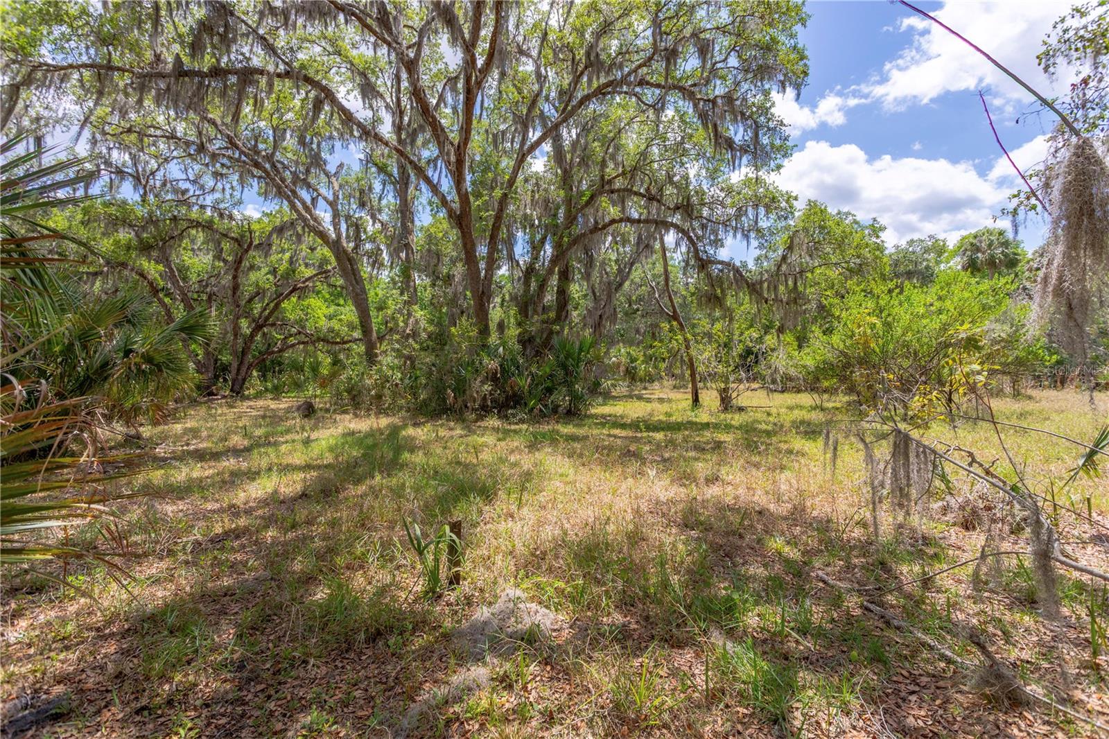 OSCEOLA BLUFF SOUTH 5 ACRE DEV 86 PARCELS - Residential