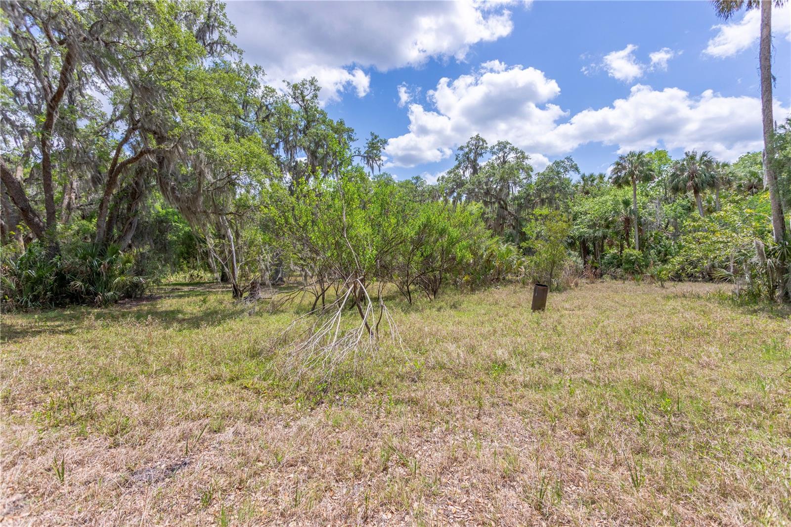 OSCEOLA BLUFF SOUTH 5 ACRE DEV 86 PARCELS - Residential