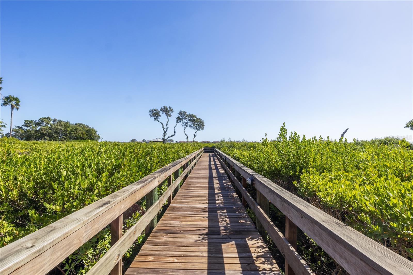 BRADENTON BEACH CLUB BLDG 3 - Residential