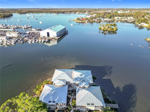 Photo of 179 NW Bay Path Drive #179, Crystal River, FL 34428 (MLS # TB8362921) Photo of 179 NW Bay Path Drive #179, Crystal River, FL 34428 (MLS # TB8362921)