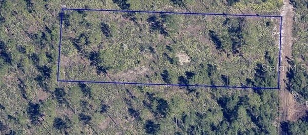 DILL RD, ORLANDO, FL 32820 - Image e3fcdfd500d9080e3a180d1e496dcf9d/309597766