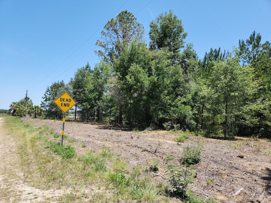 Rainbow Lakes Estates" High & Dry VERY NICE WOODED 1.02 Acre lot. Three lakes for boating, fishing, and the Rainbow Springs State Park is just a short drive away where you can enjoy nature walks among the mature azaleas, bird watching, kayaking and swimming at the head of this pristine first magnitude spring, starting the Rainbow River. 12 miles from the historic and beautiful "Rainbow River" town of Dunnellon. Nearby amenities that will be attracting those looking to move out of overcrowded suburbia: 26 miles to the fabulous World Equestrian Center. 25 miles to beautiful Yankee town and the Gulf of Mexico. About 2 hours to Tampa or Orlando, the community boasts a boat ramp, community center, park & playground. NO HOA FEES. Only Site Built Homes are allowed. NO MOBILE HOMES