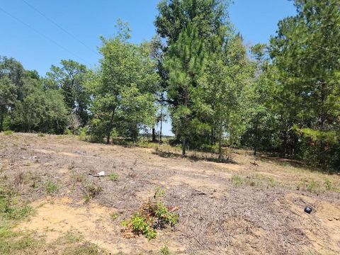 Lot 1 SW PINE BLUFFS ROAD DUNNELLON FL 34431