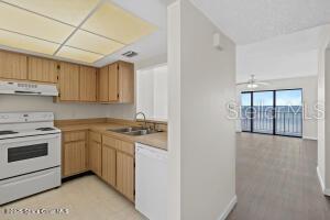 DELESPINE ON INDIAN RIVER - Residential