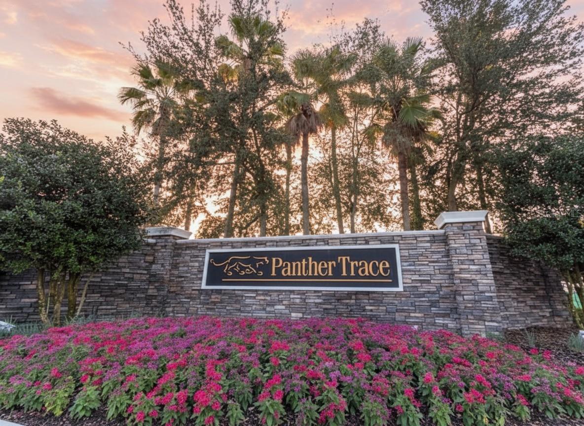PANTHER TRACE PH 1A - Residential