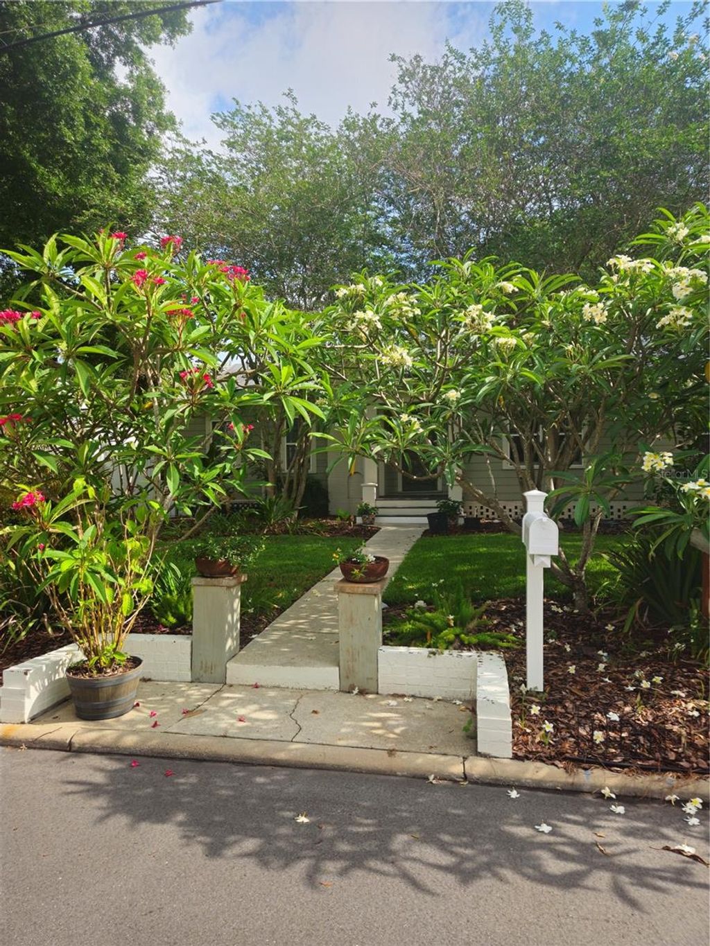 Photo of 4101 W Obispo Street, Tampa, FL 33629 (MLS # TB8512002)