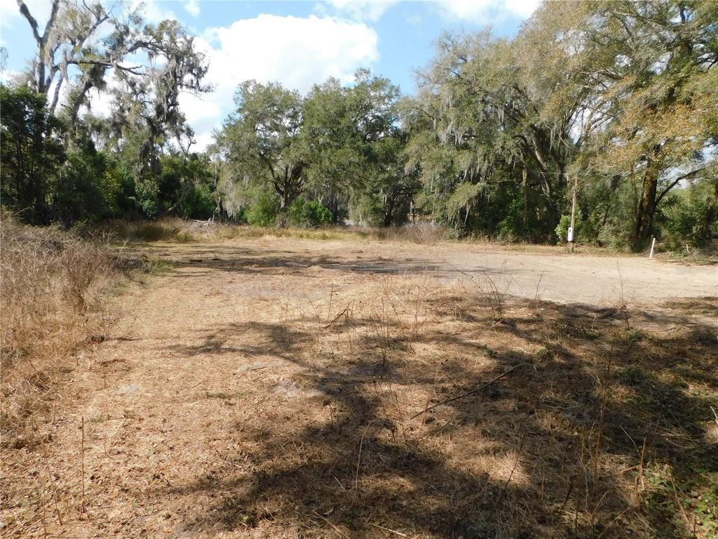 Photo of 10351 Us Highway 301, Dade City, FL 33525 (MLS # TB8481136)