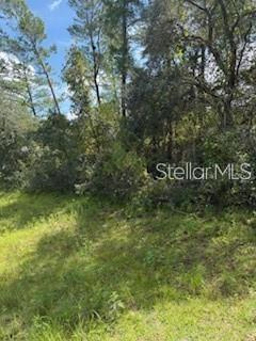 Photo of 16593 SW 31st Circle, Ocala, FL 34473 (MLS # OM715945)